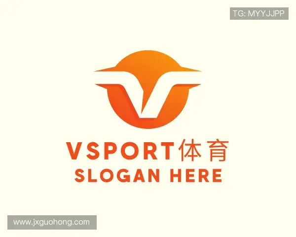 了解VSport