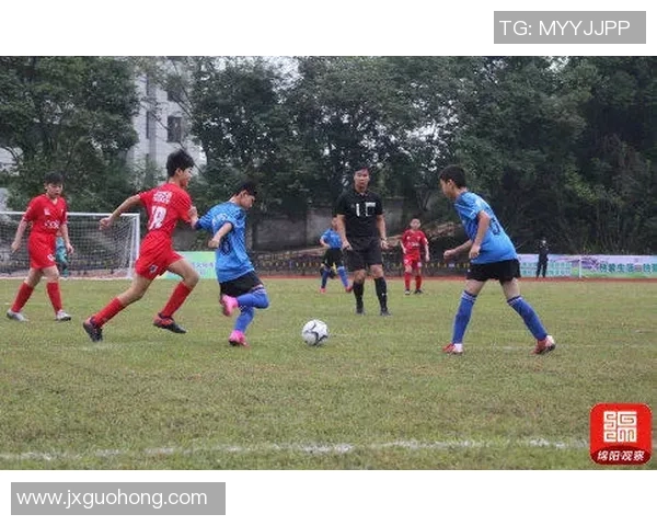 足球明星签约新模式探讨付费方式对体育市场的影响与前景分析